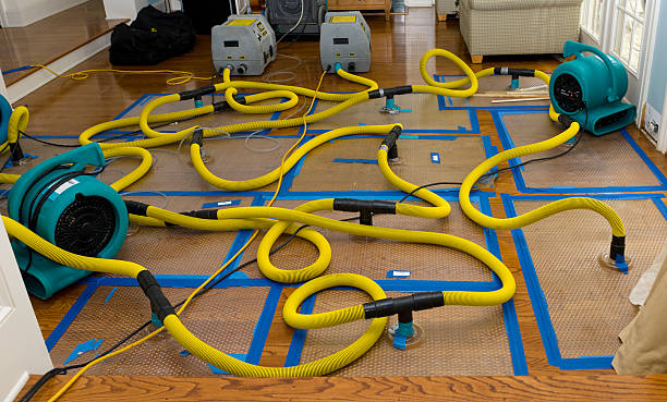Professional Structural Drying And Dehumidification technician working in Honey Creek, IA